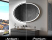 Ogledalo s LED rasvjetom L227